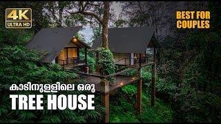 Tree House | Munnar | 4K UHD | Bison Valley | Couples | Family | Bachelors | Vlog #20