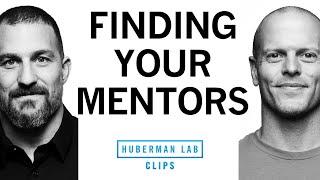 How to Find Mentors | Tim Ferriss & Dr. Andrew Huberman