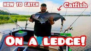 How to catch CATFISH on a ledge! Cooper River