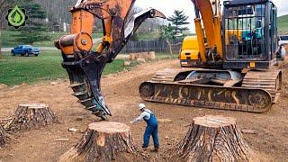 Extreme Dangerous Fastest Big Chainsaw Cutting Tree Machines | Monster Stump Removal Excavator #103