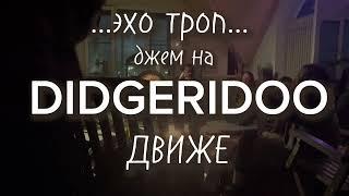 …эхо троп… - джем на DIDGERIDOO Движе