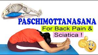 Paschimottanasana | Seated Forward Bend | Get result in 5 days | Steps| Gangothriyogini | Hamsa Yoga