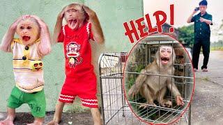 Video explains why a little monkey is locked in an iron cage