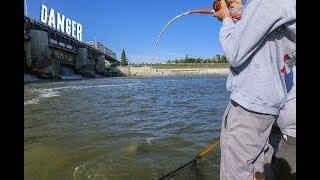 Fishing a HUGE DAM for MONSTER FISH - CATFISHING