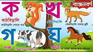 Bangla Banjonborno | বাংলা ব্যঞ্জনবর্ণ ক খ গ ঘ | Bangla Bornomala | ছন্দে ছন্দে ব্যঞ্জনবর্ণ শিখি