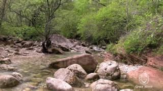 Veneto- Belluno-Trichiana- trekking Brent de l'Art (Canon Legria HFG10) HD