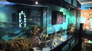 THE ROBERT WAN PEARL MUSEUM TAHITI