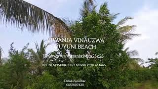 VIWANJA VYA  BEACH/PWANI VINAUZWA MUYUNI  UNGUJA ZANZIBAR (0653007438)