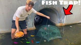 FISH TRAP CATCHES COLORFUL FISH in HIDDEN TUNNEL!