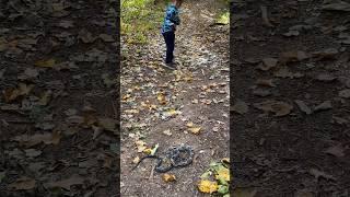 Grandson sees his first snake and thinks it’s a rattlesnake!