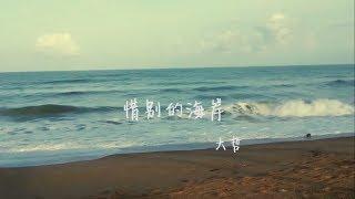 大哲 - 惜别的海岸（高清1080P）KTV原版