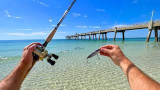 3 DAYS OF PIER FISHING MADNESS!!!