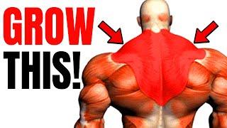 6 Exercises To Grow Your TRAPS| Massive Traps Workout