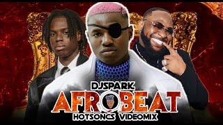 BEST 2024 AFROBEATS AMAPIANO LATEST NAIJA VIDEO MIX BY DJ SPARK FT DAVIDO/WIZKID/RUGER/SHALLIPOPI