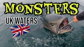 GIANT Blue Fin Tuna  & Fly Fishing For SHARKS UK 