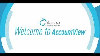 Welcome to AccountView! Take a Tour