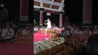 Balinese Dance & Gamelan By The Professor | Gamelan Bali #tarianbali #shorts  #balinesegamelan