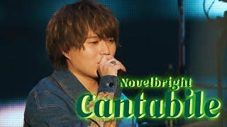 Novelbright – cantabile LIVE ㅣノーベルブライト Live  (푸른 오케스트라(青のオーケストラ) OP [한글해석/ 일본어발음/lyrics]