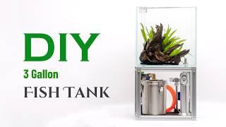 DIY a 20cm Fish Tank in 8 Minutes: Low-Cost, Simple, and Perfect for Shrimp, Fish, and Plants