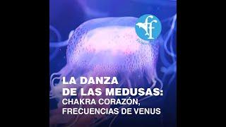 La Danza de las  Medusas (10 horas) para  cambiar la vibra de tu ambiente y el mundo