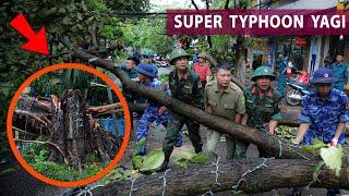 Cleanup After Super Typhoon YAGI: Shocking Discoveries After the Storm of the Century!