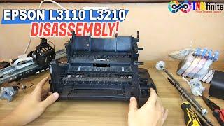 How to Disassemble L3110 L3210 L3150 L3250 L3256 Full Tutorial | INKfinite