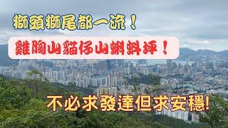 【獅頭獅尾都一流！】鷄胸山貓仔山蝌蚪坪！【一路行一路講】