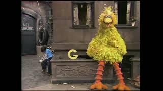 Classic Sesame Street - Big Bird Letter G 1973