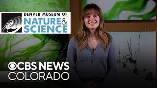 Denver Museum of Nature & Science - Meet the Mentor