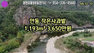 @영천유레카부동산tv#안동부동산#안동토지#안동땅#안동체류형쉼터#안동촌집#안동 작은 사과밭