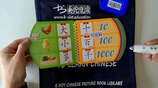 Chinese Picture Book and Reading Pen