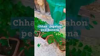 chhah jagahon per hansna#Jina ke barabar hai #love #Islamic video#viral video