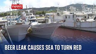 Japan: Sea turns red in Okinawa, in the port of Nago City, after beer brewery leak