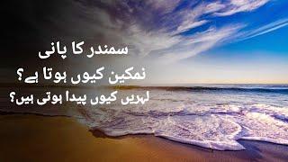 Why Is Sea Water Salty | What Causes Tides | Urdu/Hindi