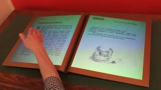 Интерактивная книга