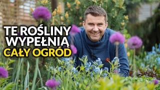 Rośliny Kwitnące w Maju i Czerwcu – Idealne na Wolne Miejsca na Rabacie!