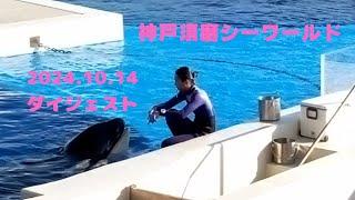 【神戸須磨シーワールド】2024/10/14  15:00  ダイジェスト