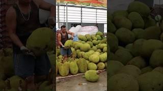 Amazing skill! How to cut jackfruit, the biggest fruit in the world / Thai street food