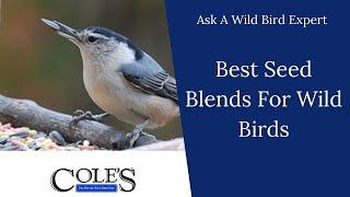 What's The Best Wild Bird Seed For Attracting A Variety Of Birds To Your Feeders?