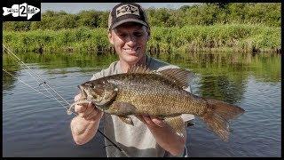 How to Target River Grassline Bass With Swimbaits