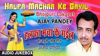 HALFA MACHAA KE GAYIL | BHOJPURI LOKGEET AUDIO SONGS JUKEBOX | SINGER - AJAY PANDEY | HAMAARBHOJPURI