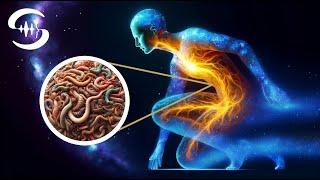 Most effective frequencies against worms & parasites