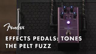 Pedal Tones: The Pelt Fuzz | Effects Pedals | Fender