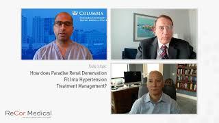 How does Ultrasound Renal Denervation fit into Hypertension treatment?