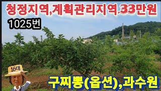 #계획관리지역(33만원)#강화도토지 강화도토지 강화농지 강화도땅 강화도부동산 강화도농막 강화도농가주택 강화도전원주택 연천토지 부성부동산Tv