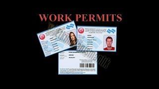 Blue Card Turkey | Work Permit Turkey | How to get Turkey Work Permit |