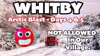 Whitby Area Snow Arctic Blast Days 4 and 5 Nov 2024