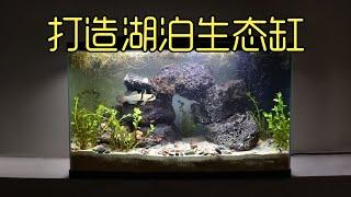 打造湖泊生态缸，历经30天模拟湖泊生态，观察生物行为