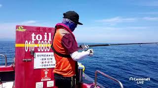 Bill Kim 울진방송UJTV 한국해양방송KMOTV's broadcast