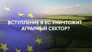 Вступление в ЕС уничтожит аграрный сектор?